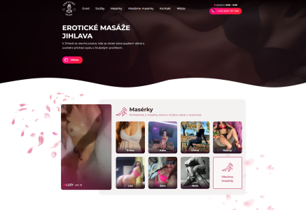 www.erotickemasazejihlava.cz preview
